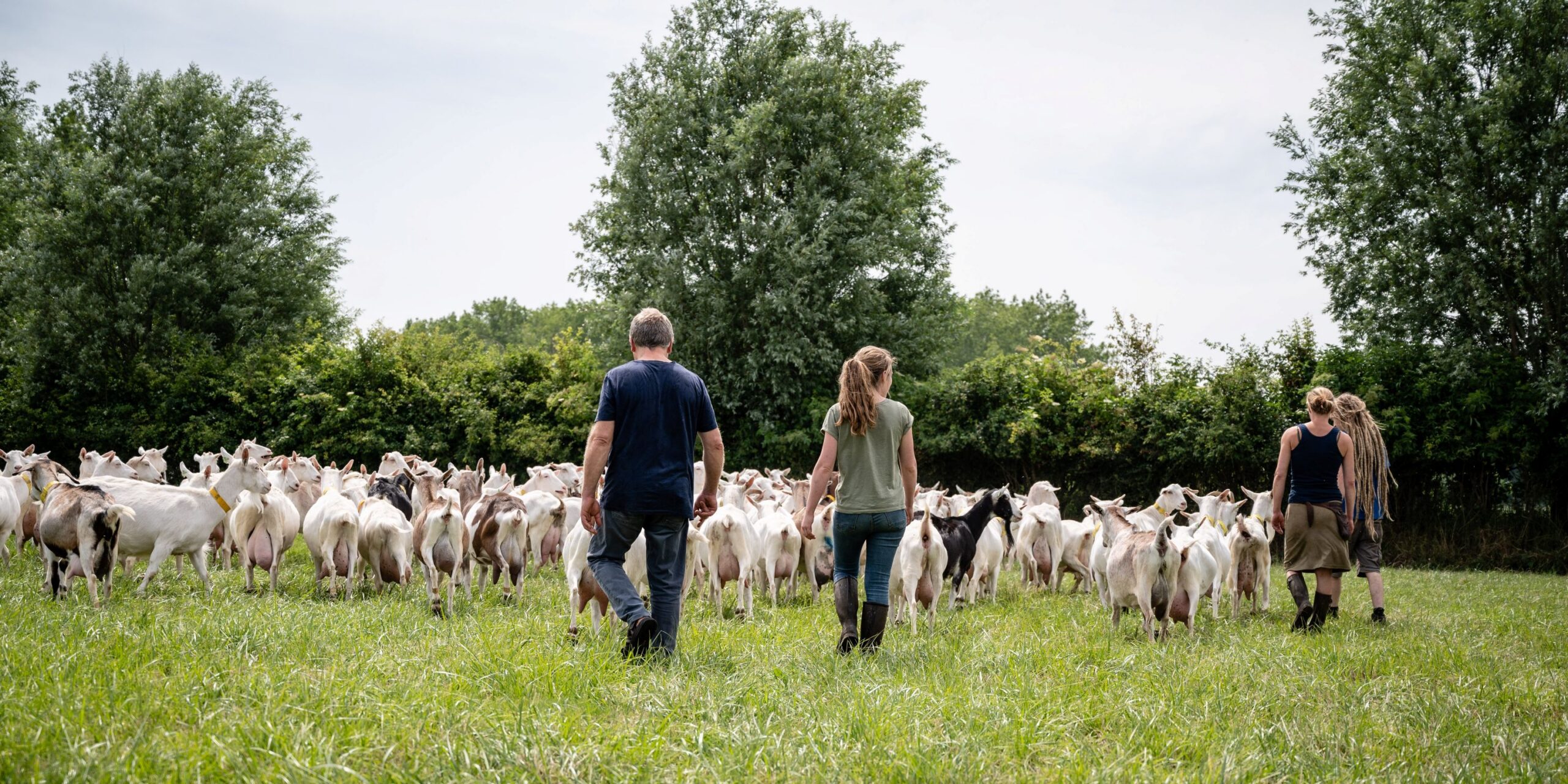 Vacature deeltijdse medewerker hoevewinkel
